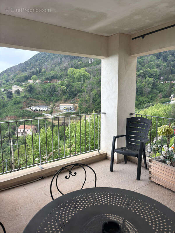 Appartement à CERVIONE
