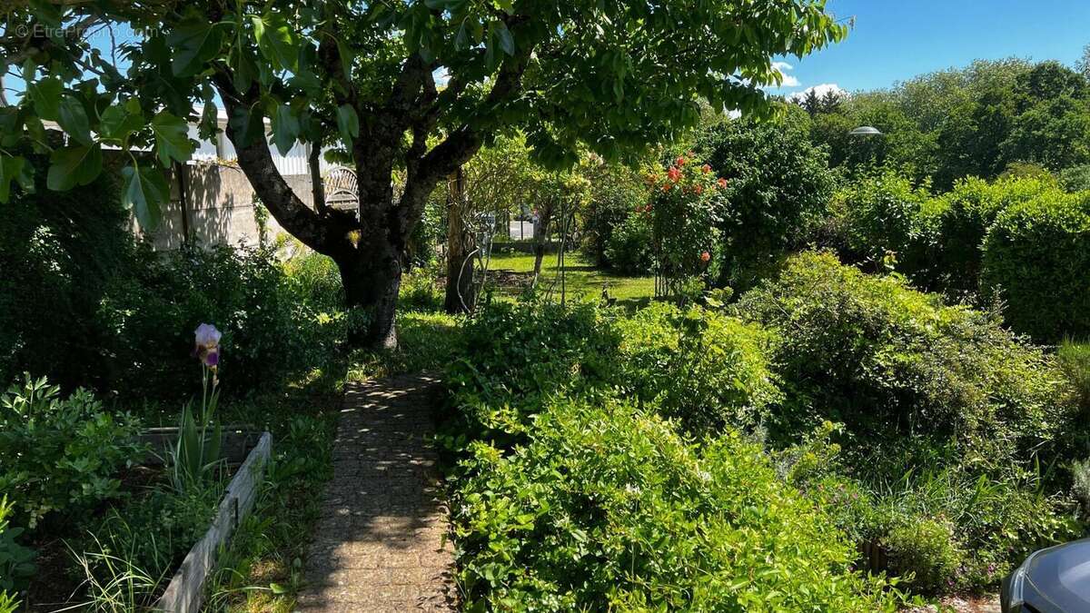 Photo 5 - Maison à CHECY