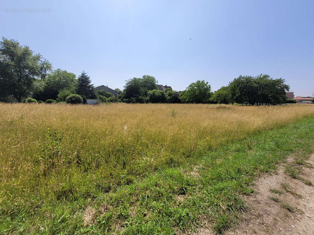 Terrain à CHAMPVANS