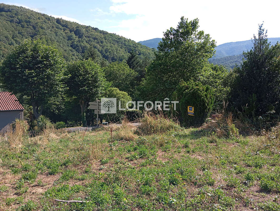 Terrain à PRATS-DE-MOLLO-LA-PRESTE