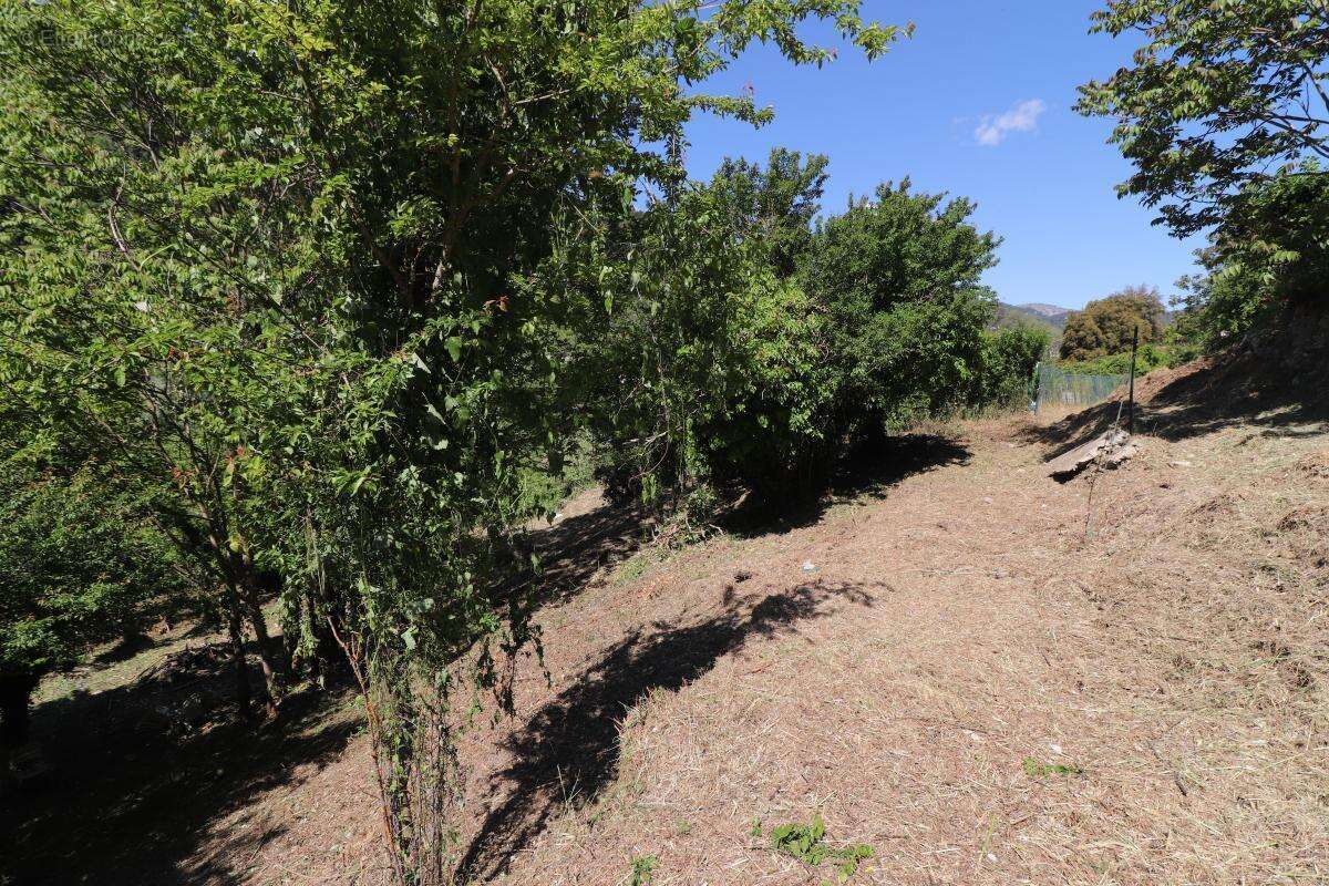 Terrain à L&#039;ESCARENE