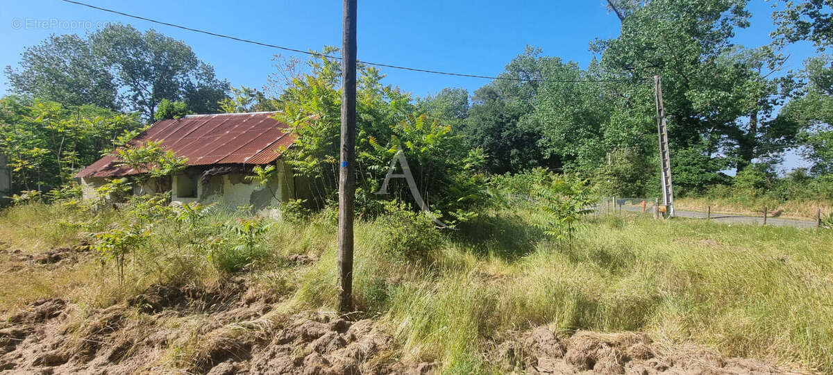 Maison à SAINT-HILAIRE-DE-RIEZ