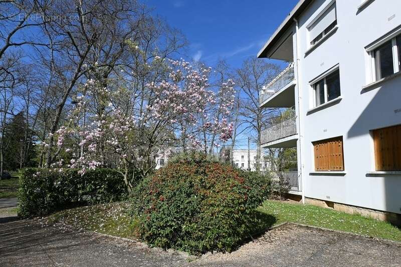 Appartement à MAISONS-LAFFITTE