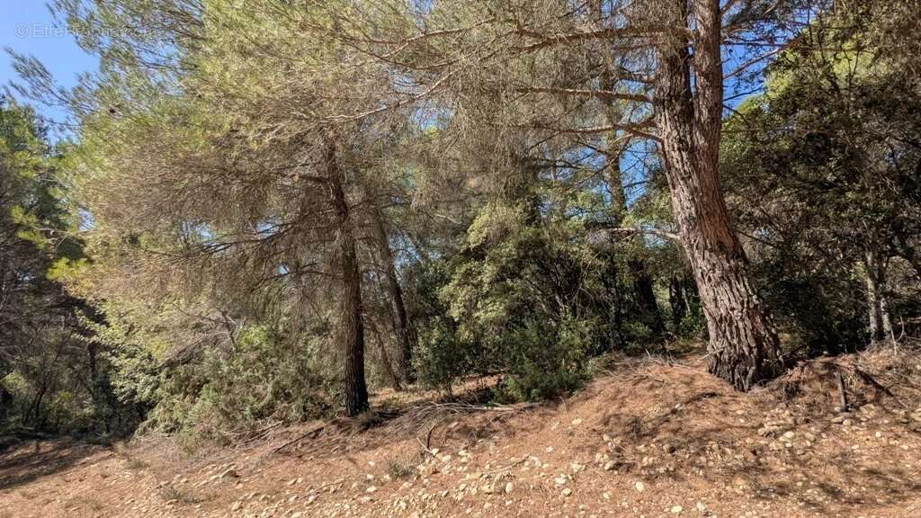 BRUNET - Terrain non constructible 14.570m² - photo 6