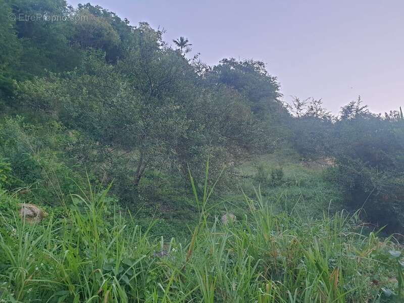 Terrain à LE GOSIER