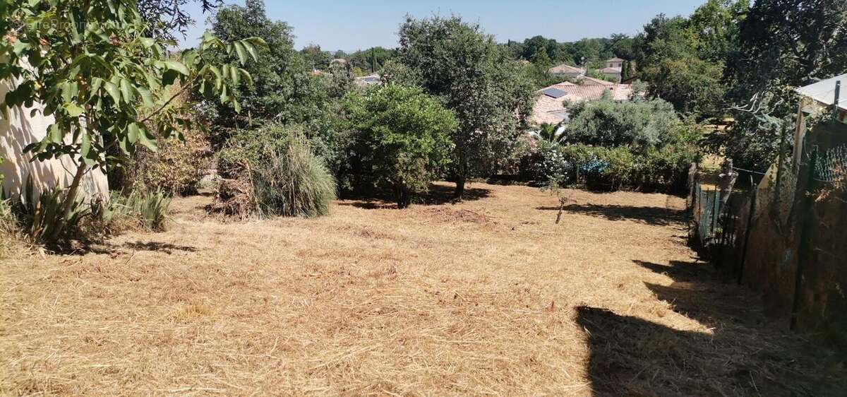 Photo 2 - Maison à FROUZINS