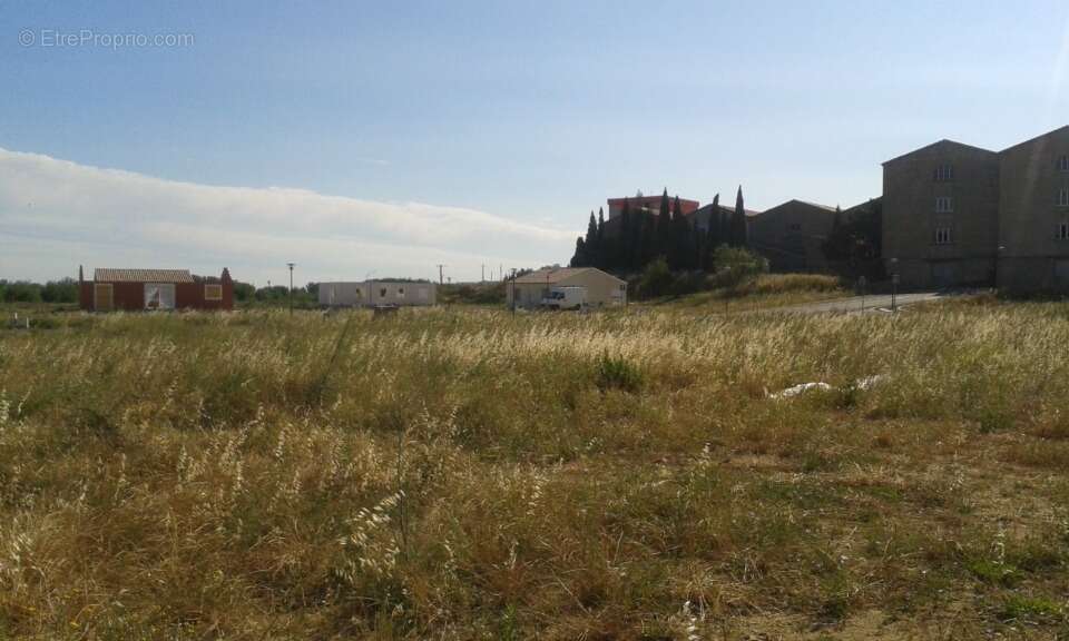 Terrain à FRAISSE-DES-CORBIERES