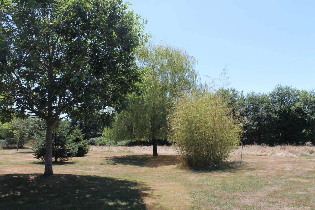 Fermette rénovée avec gites et piscine . - photo 11