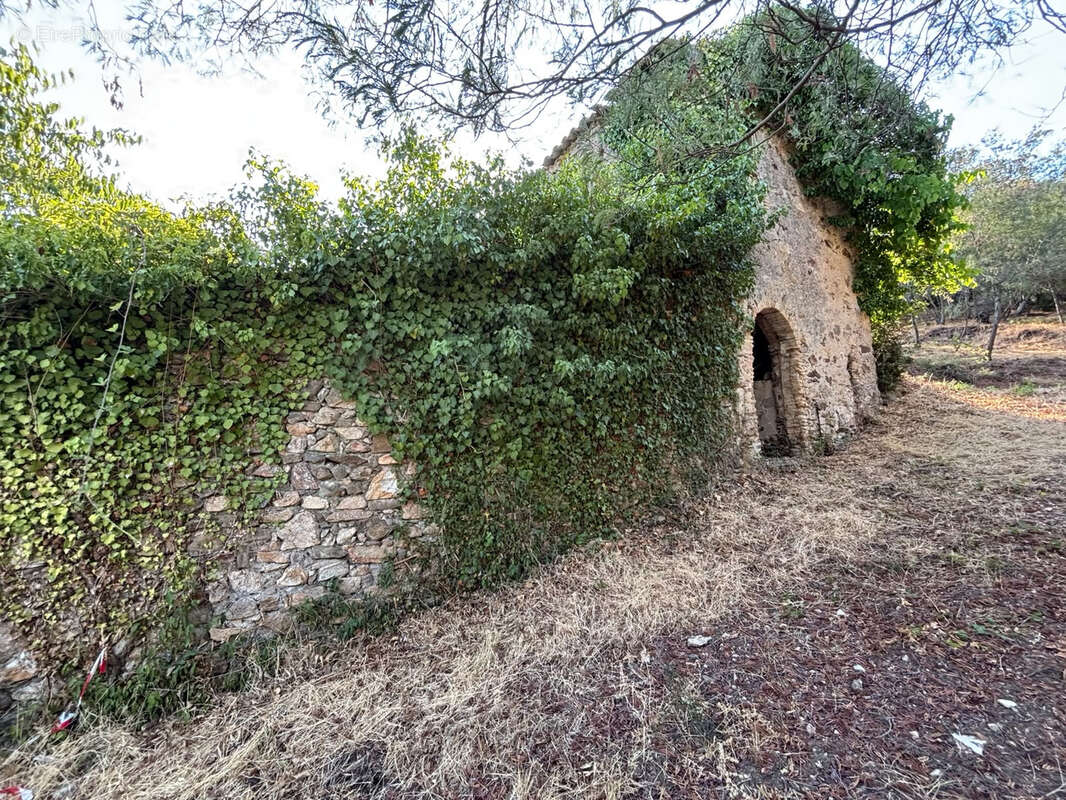 Peymeinade limite auribeau terrain de 3769 m2 avec permis pour maison plain-pied de 136 m2 a terminer et ruine - photo 8
