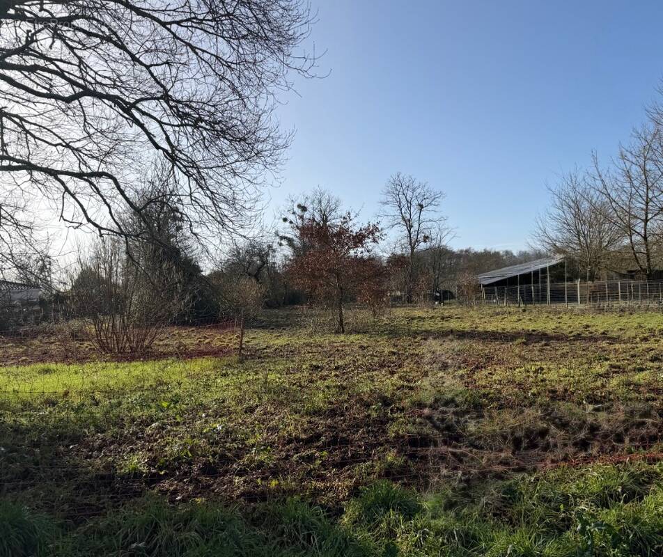 Terrain à VILLANDRAUT