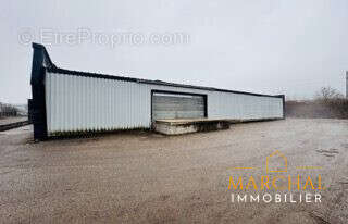 Commerce à ARS-SUR-MOSELLE