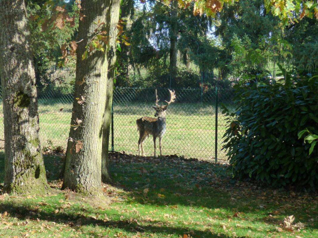 Maison à CHATEAUNEUF-EN-THYMERAIS