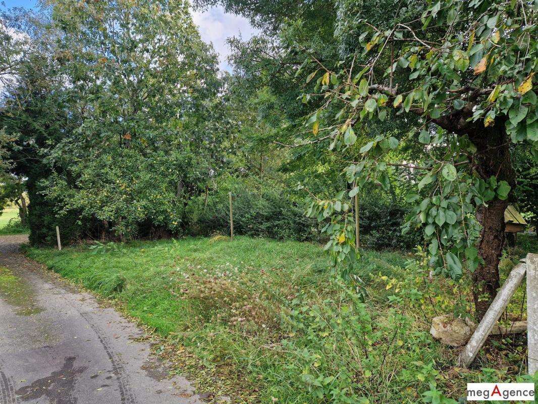 Maison à LA CHAPELLE-DE-BRAIN