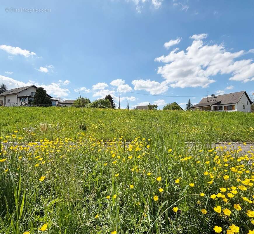 Terrain à DIETWILLER