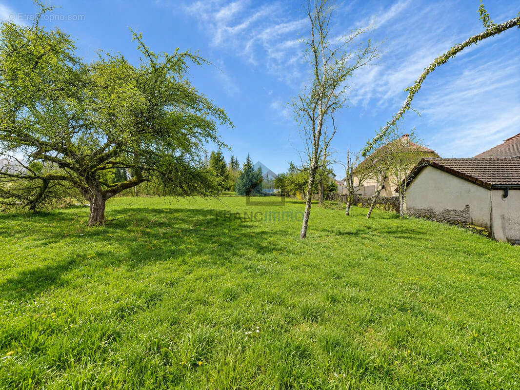 Montecheroux - ancienne ferme avec grand terrain - photo 3