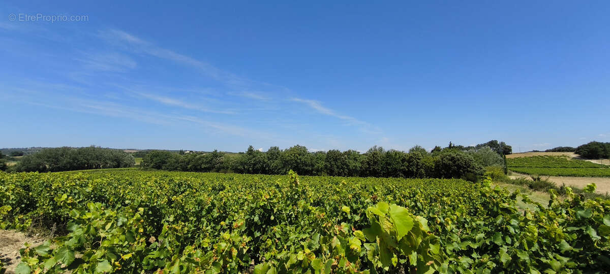 Maison et domaine viticole sur 57 hectares - vignes en aop - photo 14