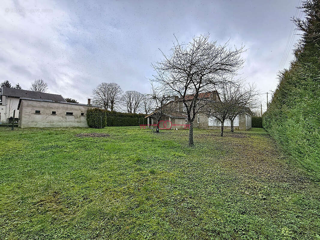 Maison à SUIPPES