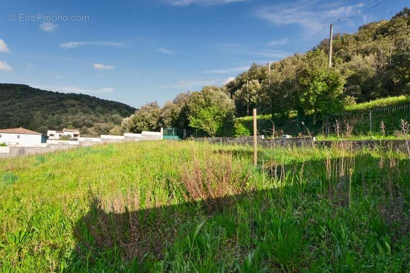 Terrain à SAINT-NAZAIRE-DE-LADAREZ
