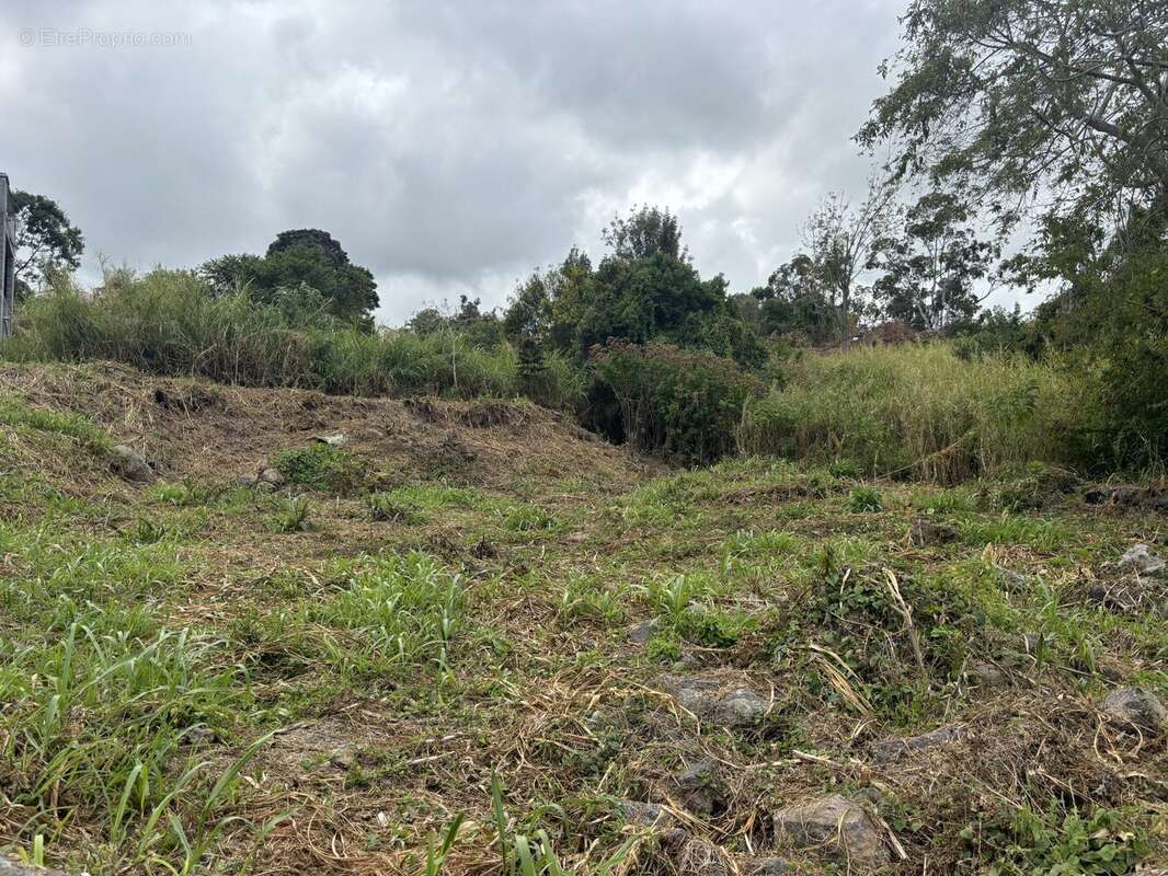 Terrain à LE TAMPON