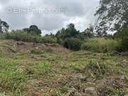 Terrain à LE TAMPON