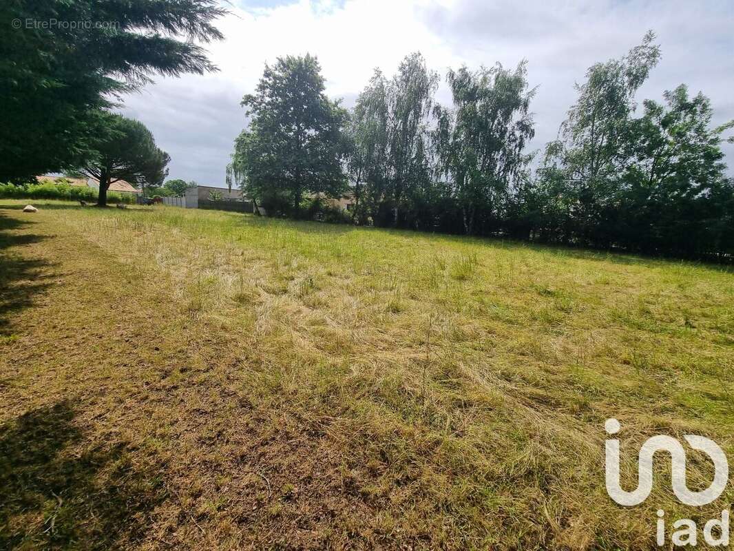 Photo 3 - Terrain à MOUTIERS-SUR-LE-LAY