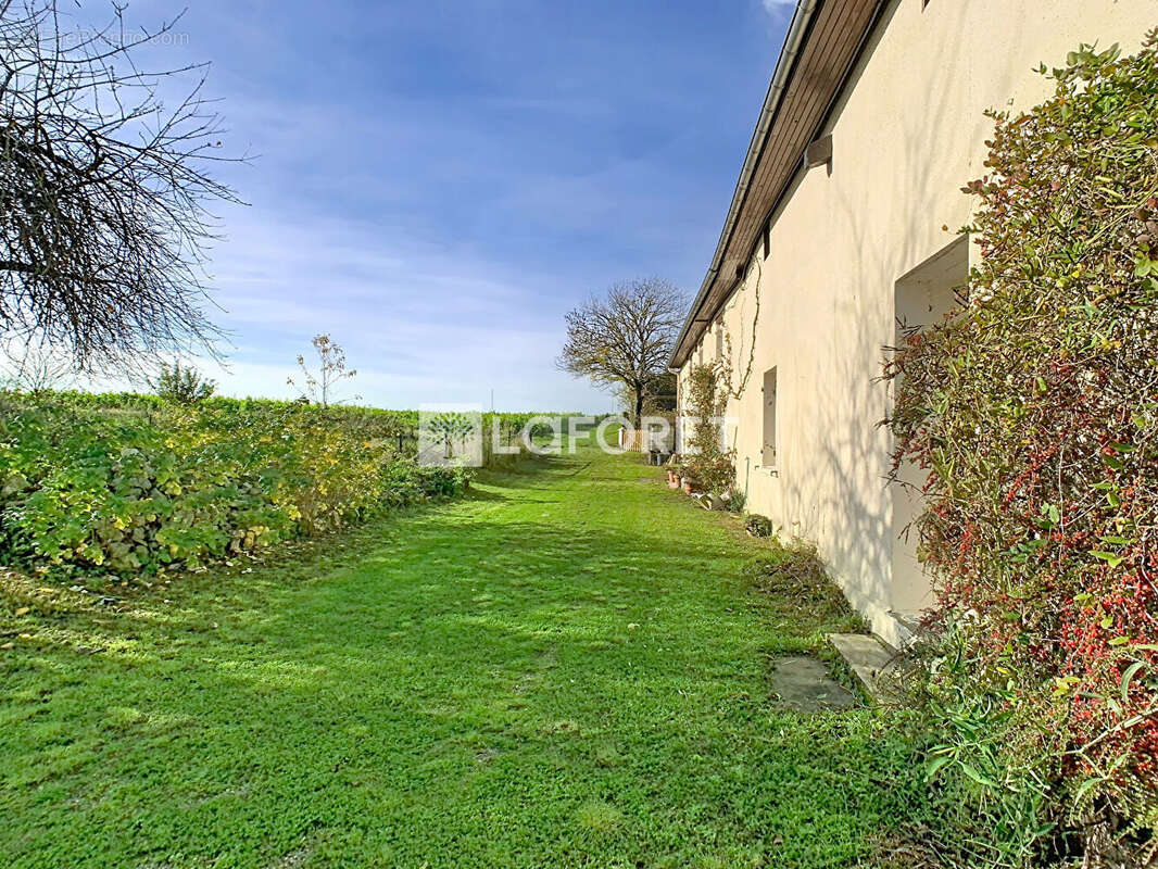 Maison à LA CROIX-EN-CHAMPAGNE