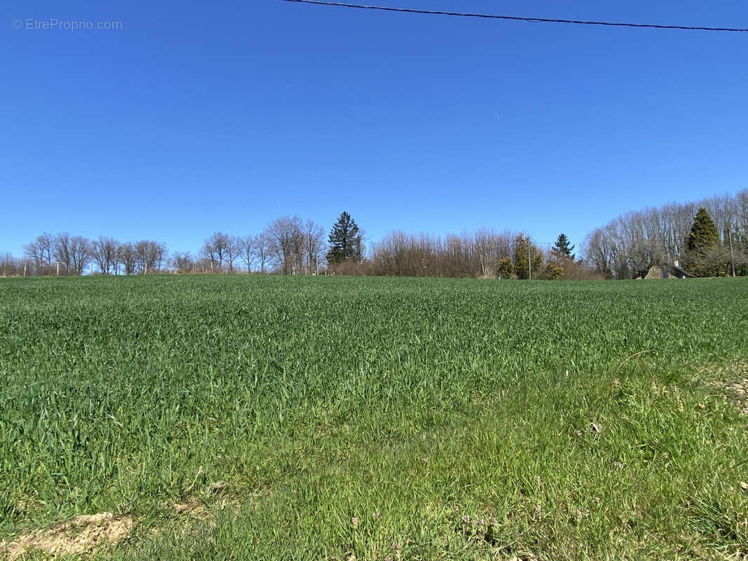 Terrain à SAINT-SORNIN-LAVOLPS