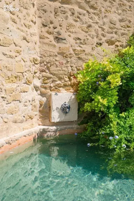 Exceptionnelle Demeure Seigneuriale au Cœur de Lauris - Luberon - photo 14