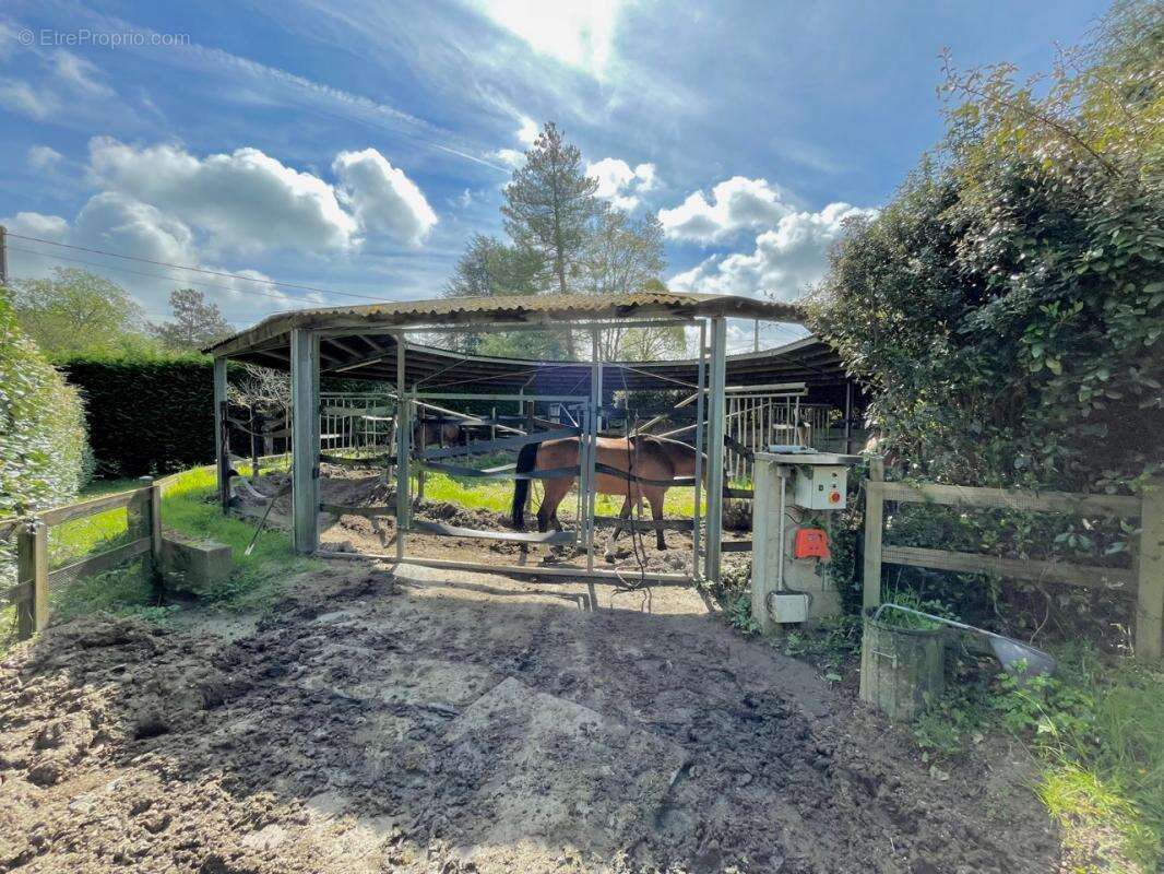 Maison à SAINT-AUGUSTIN