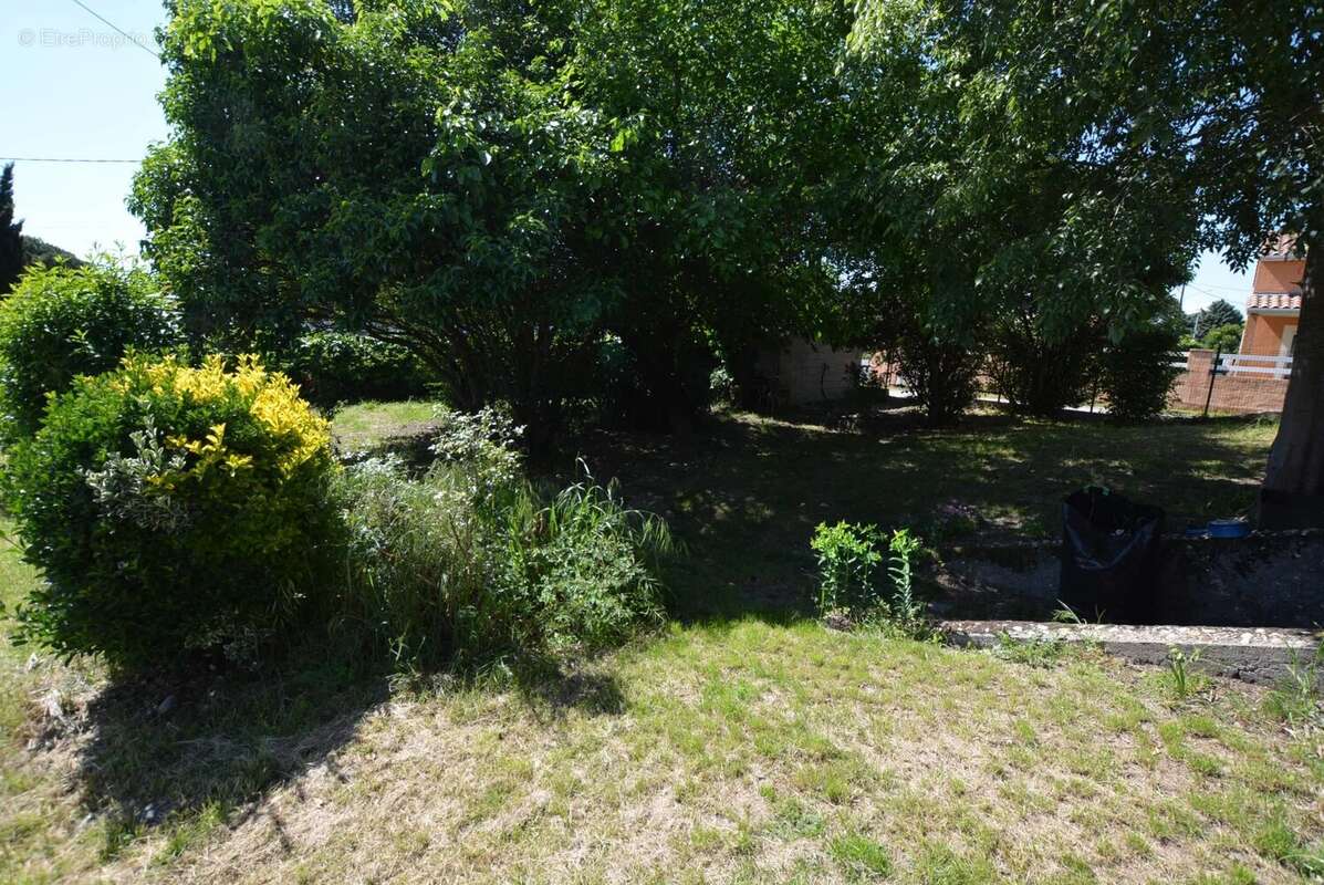 Maison à TOURNEFEUILLE