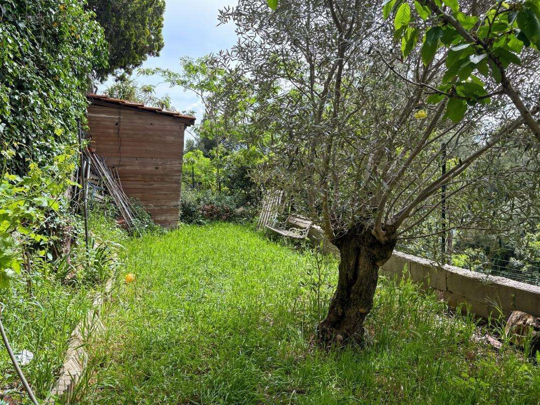 Maison à MARSEILLE-15E