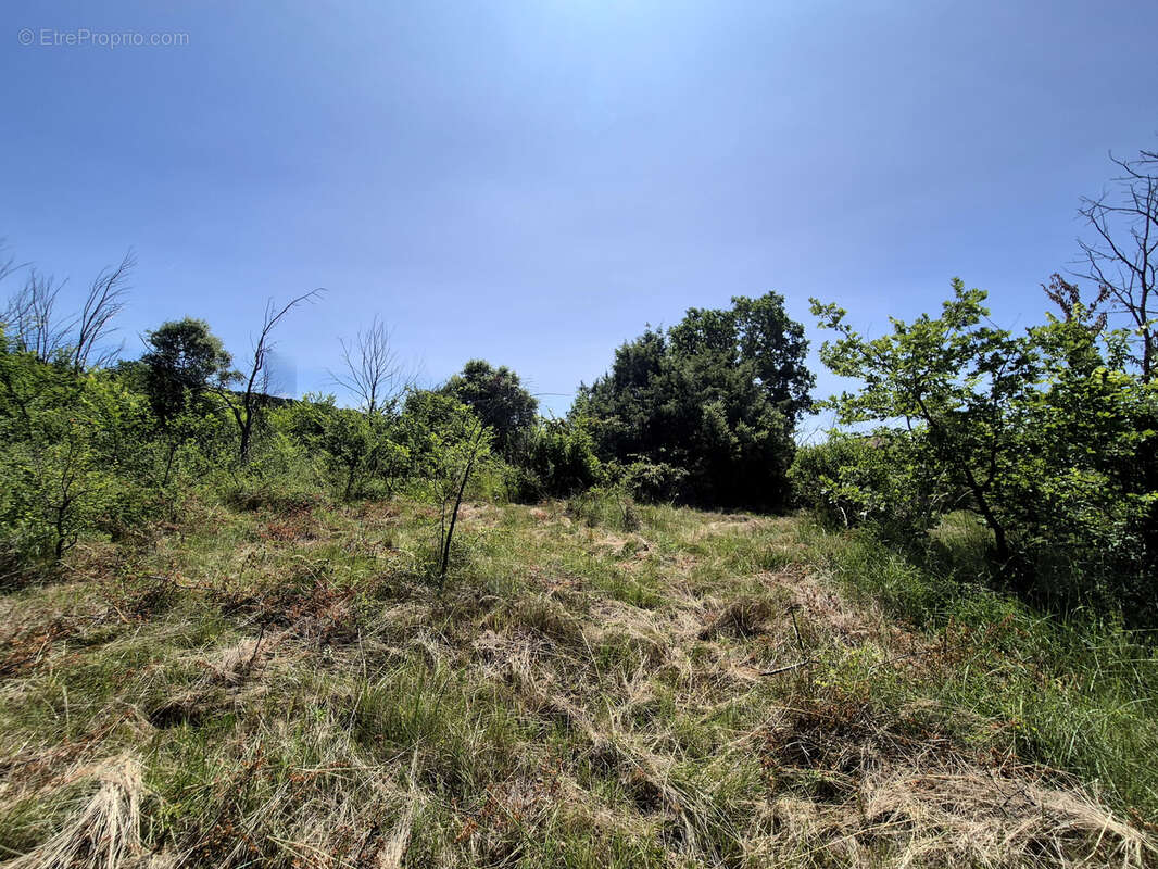 Terrain à REGUSSE