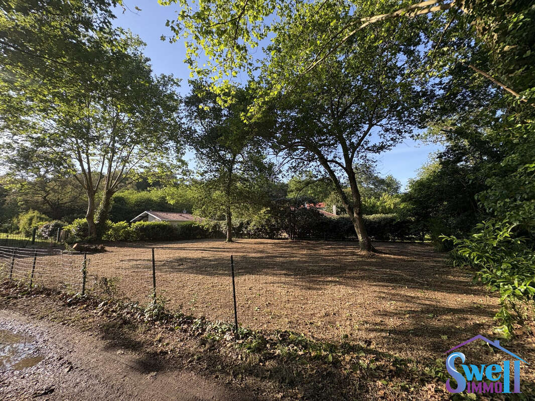 Terrain à MESSANGES