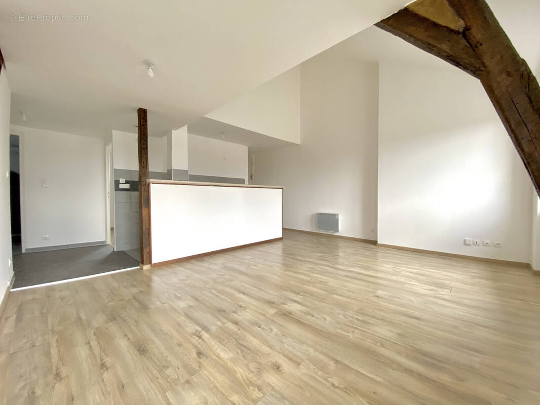 Appartement à VIERZON