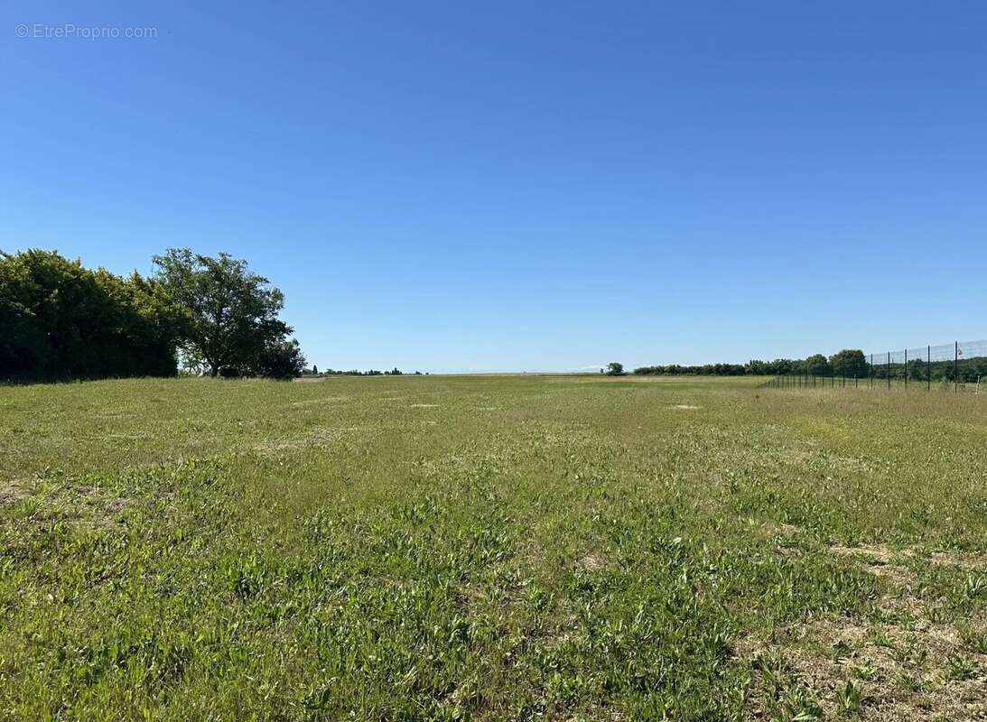 Terrain à SAINT-CLAR
