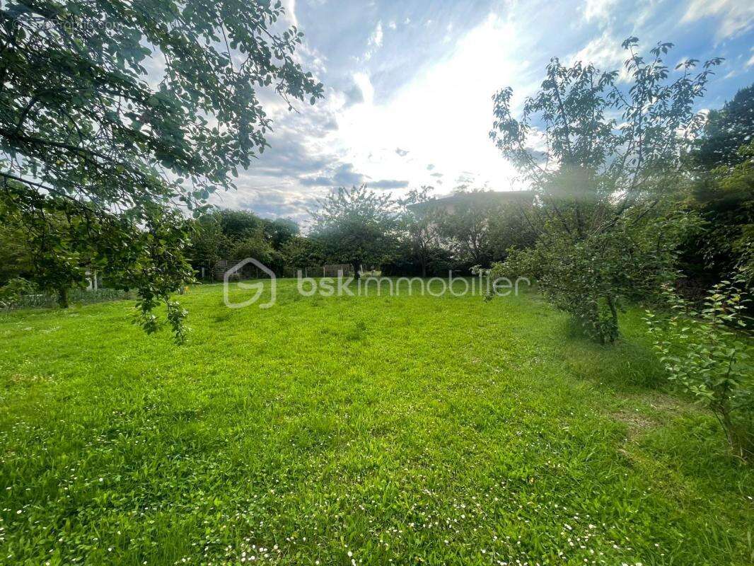 Terrain à vendre  887 m² à Blagnac - photo 7