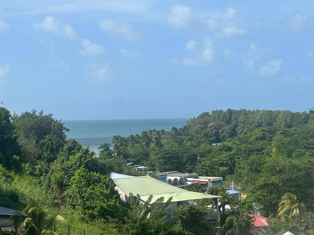 Terrain à LA TRINITE