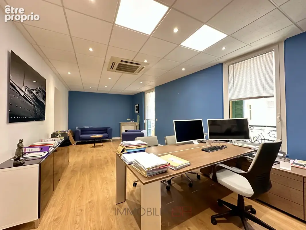 Frontière Monégasque -  Local Professionnel 165 m2 - photo 6