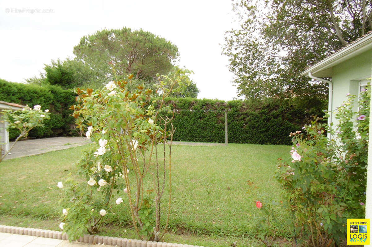 Maison 5p + t2 - belus - photo 4