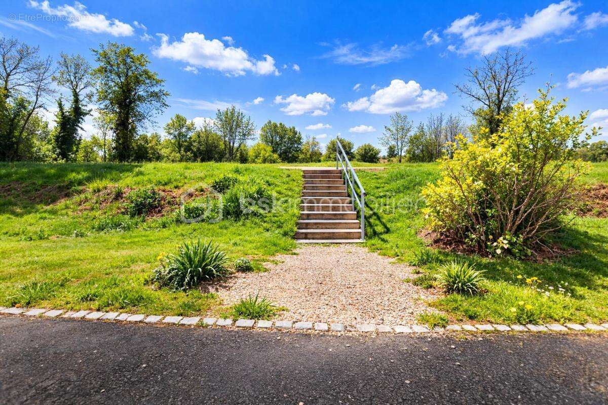 Terrain à MUNTZENHEIM