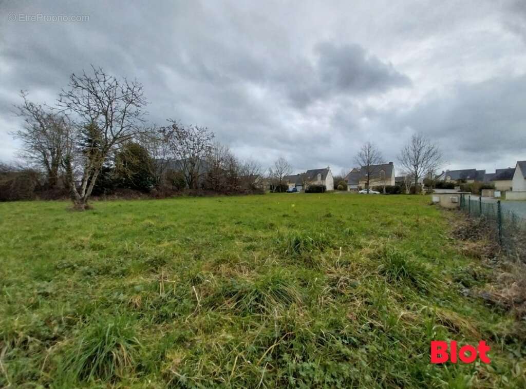 Terrain à GRAND-FOUGERAY
