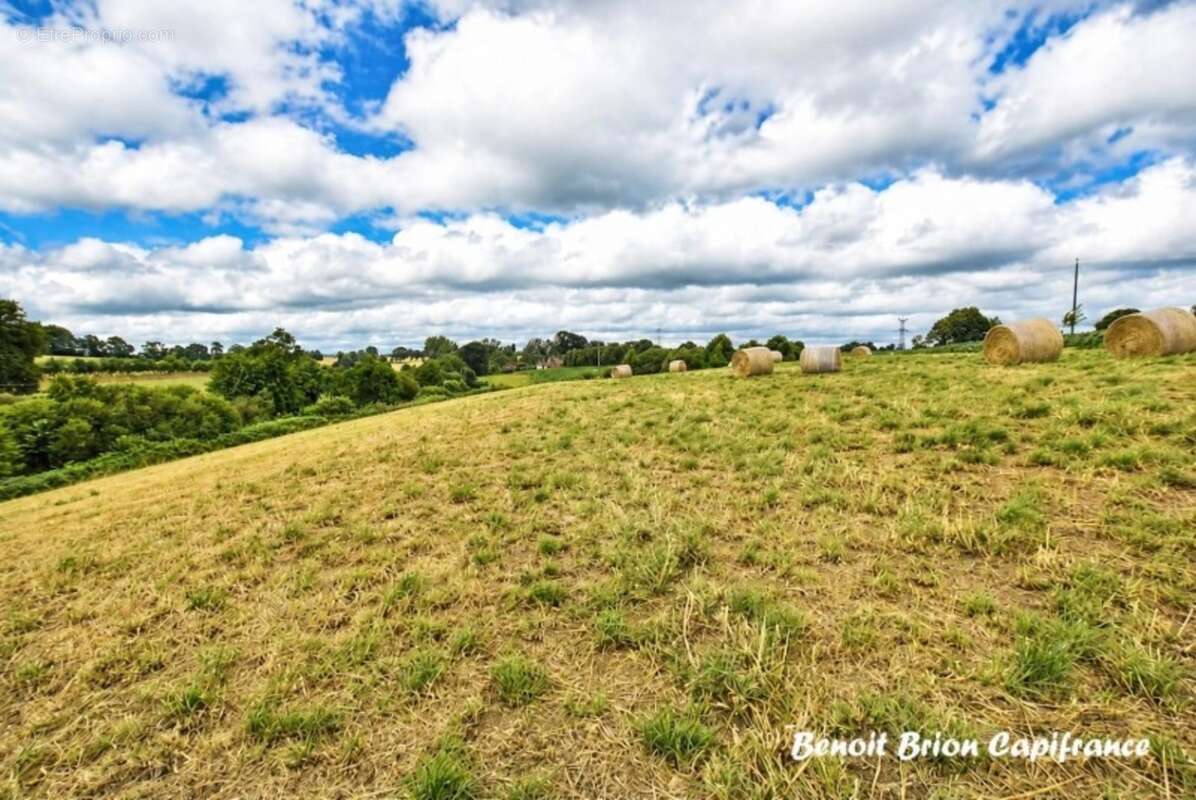 À vendre – Demeure historique en pierre d'environ 260 m² sur 2 hectares – Lapenty (50), à proximité de Saint-Hilaire-du-Harcouët - photo 23