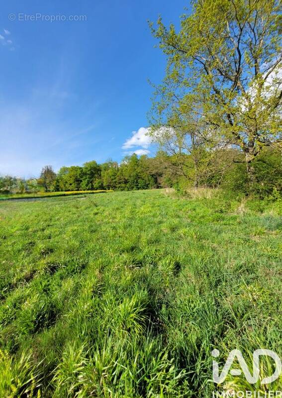 Photo 1 - Terrain à LA FERTE-GAUCHER