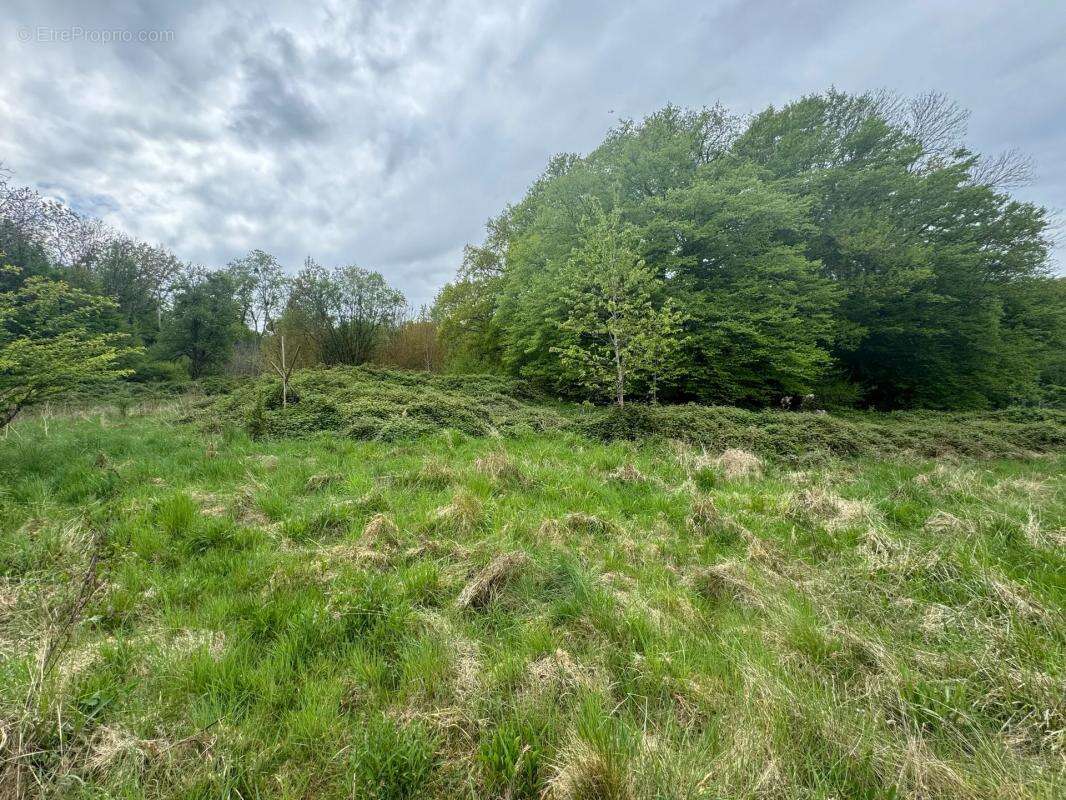 Maison à NOGENT-L&#039;ARTAUD