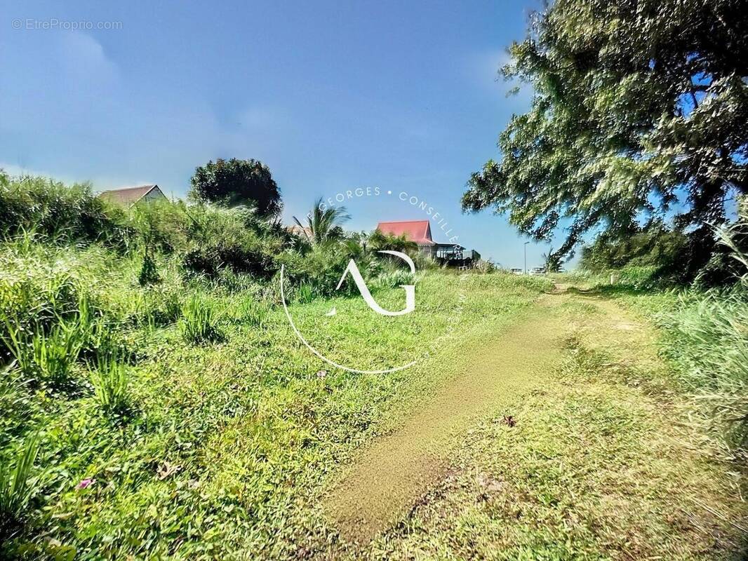 Photo 1 - Terrain à LE MORNE-ROUGE
