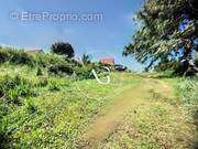 Photo 1 - Terrain à LE MORNE-ROUGE