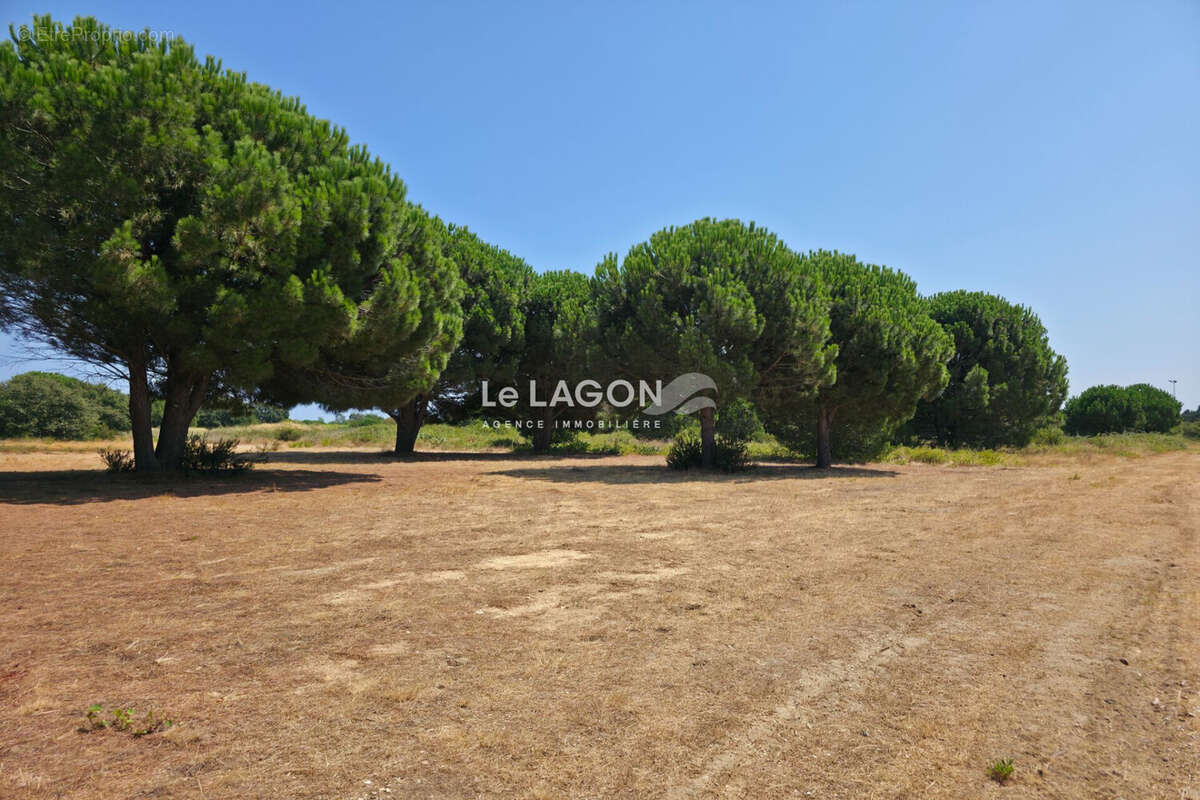Terrain 330 m² à Latour-Bas-Elne  - photo 3