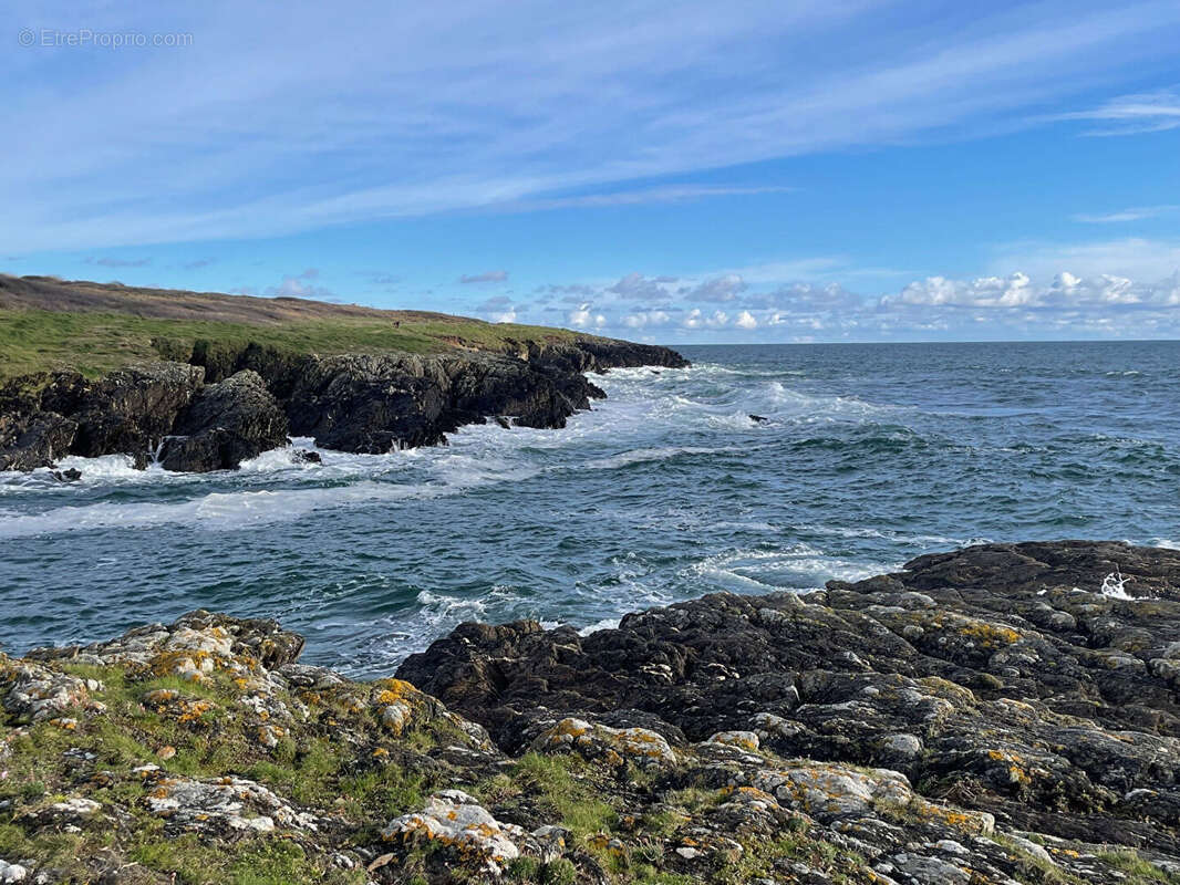 Maison à MOELAN-SUR-MER