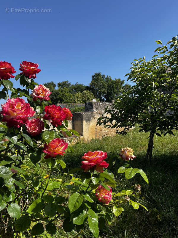 Maison à MIREBEAU