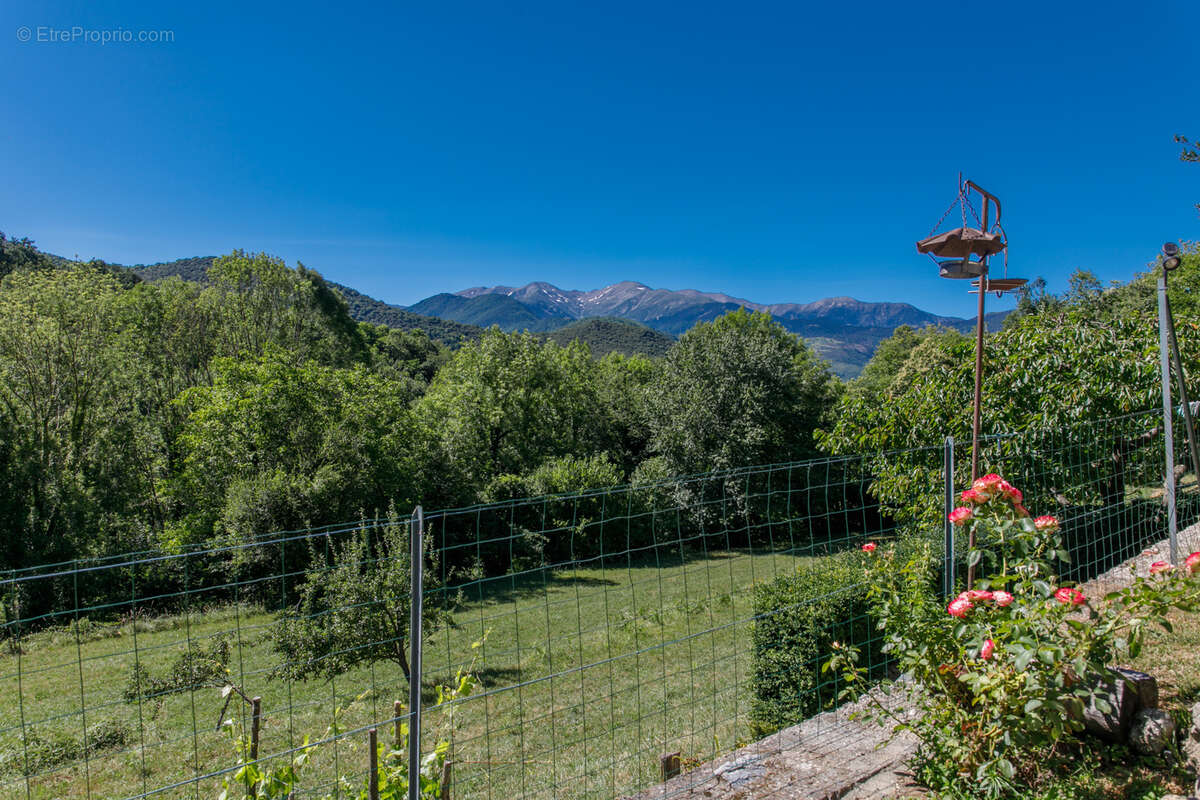 Mas 110 m2 sur 2763 m2 de terrain - photo 16